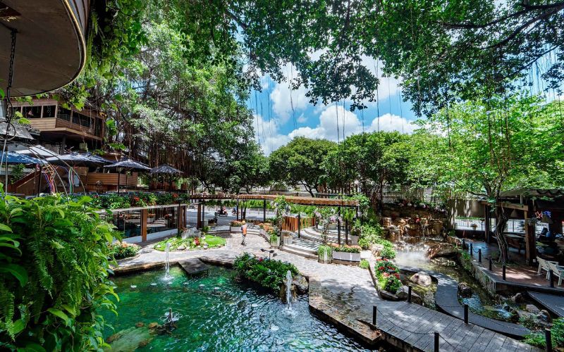 Du Miên Garden Cafe: Quán cafe xanh mát của Sài Thành
